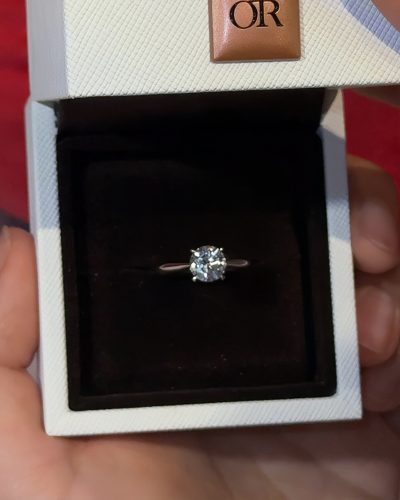 Endless Love Round Lab-Grown Diamond Engagement Ring photo review